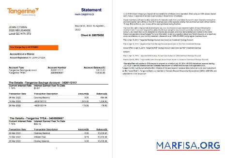 Downloadable Canada Tangerine bank statement word 1 2 pages sample